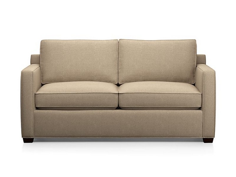 Apartment Sleeper Sofa