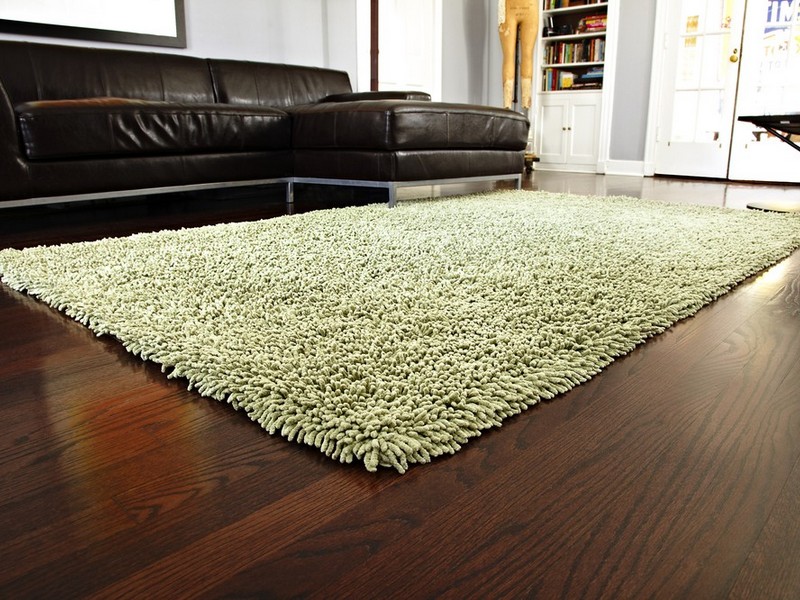 Area Shag Rugs