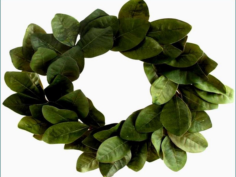 Artificial Magnolia Leaf Garland