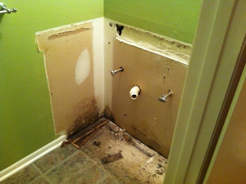 Bathroom Mold Removal Drywall