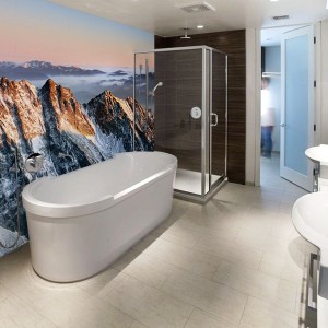 Bathroom Murals Wallpaper