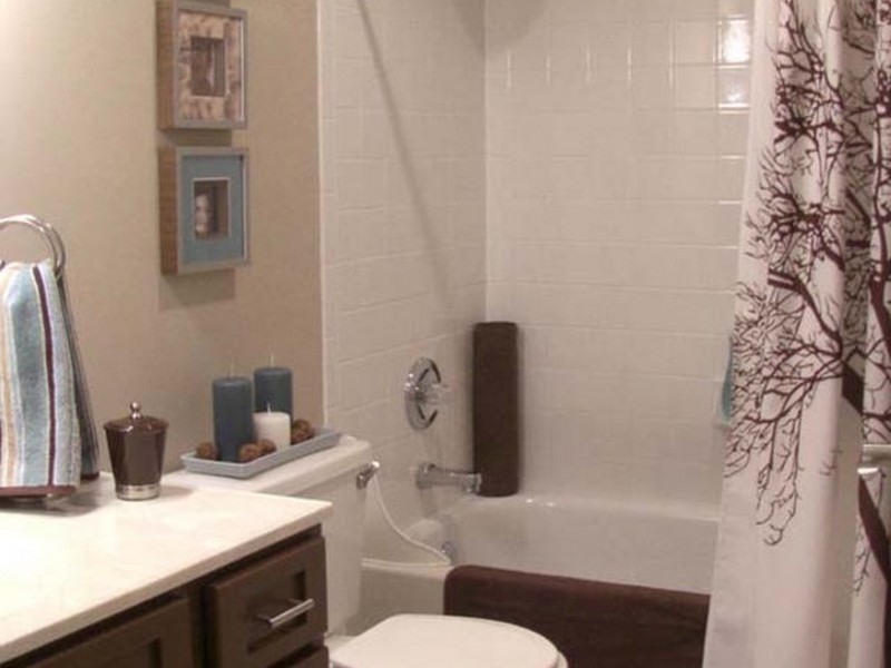 Bathroom Shower Curtain Ideas Designs