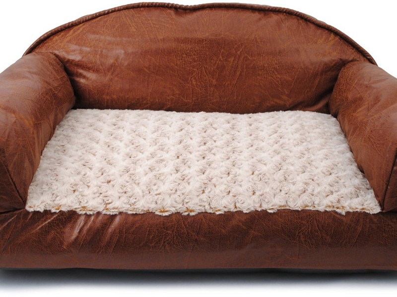 Best Leather Couches For Dogs