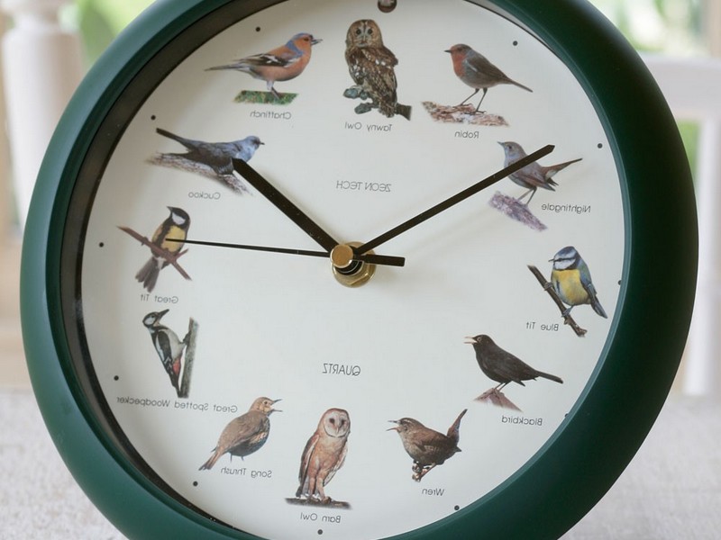 Bird Clocks With Sound