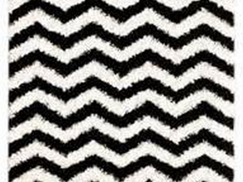 Black And White Shag Rug