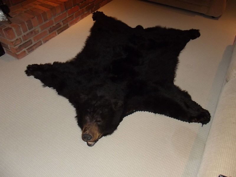 Black Bear Skin Rugs