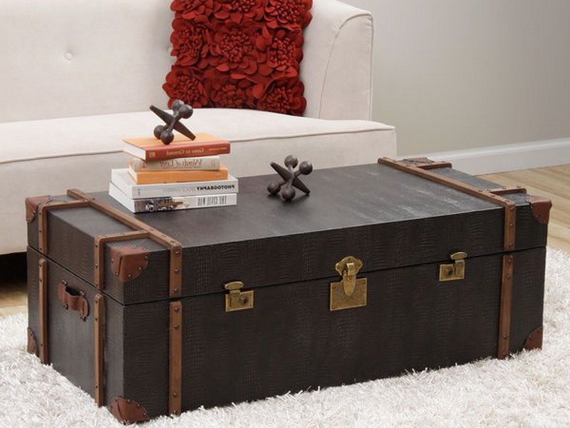 Black Trunk Coffee Table