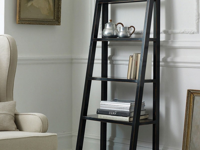 Bookshelves With Ladder