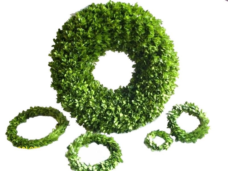 Boxwood Wreath Artificial