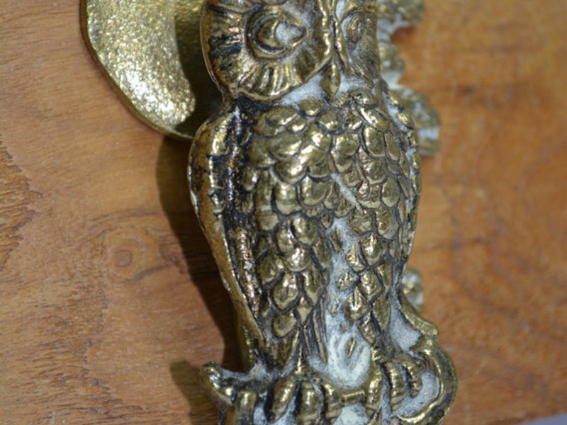 Brass Owl Door Knocker