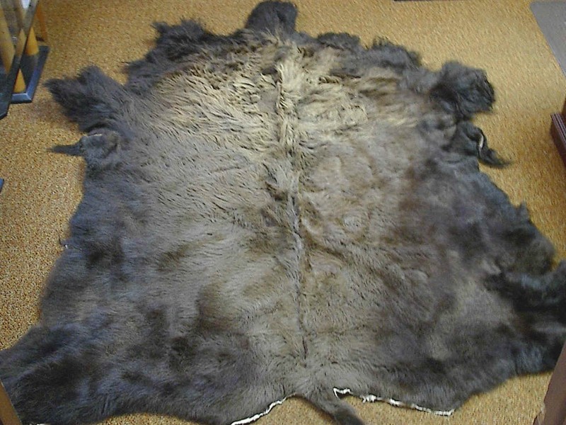 Buffalo Hide Rug