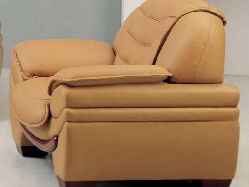 Camel Color Leather Chair