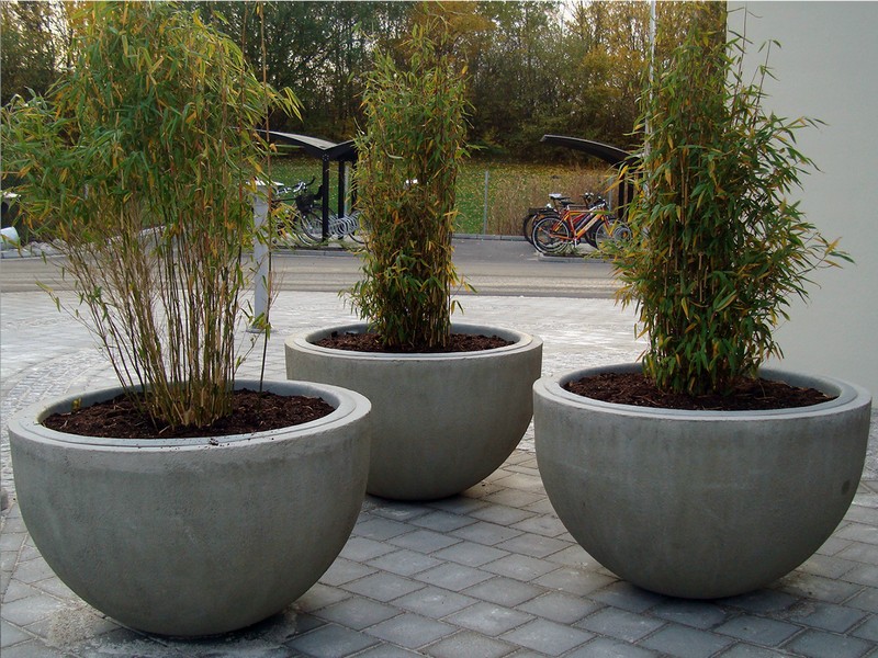 Cement Flower Pots