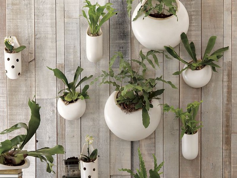 Ceramic Wall Planters Outdoor