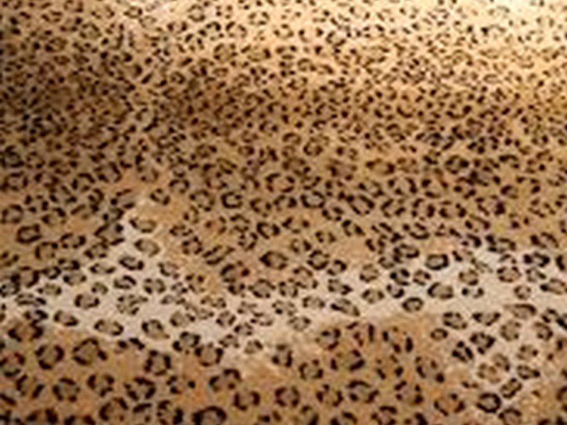 Cheetah Print Rug Cheap