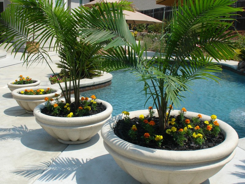 Concrete Planter Boxes Adelaide