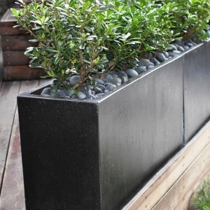 Concrete Planter Boxes Perth