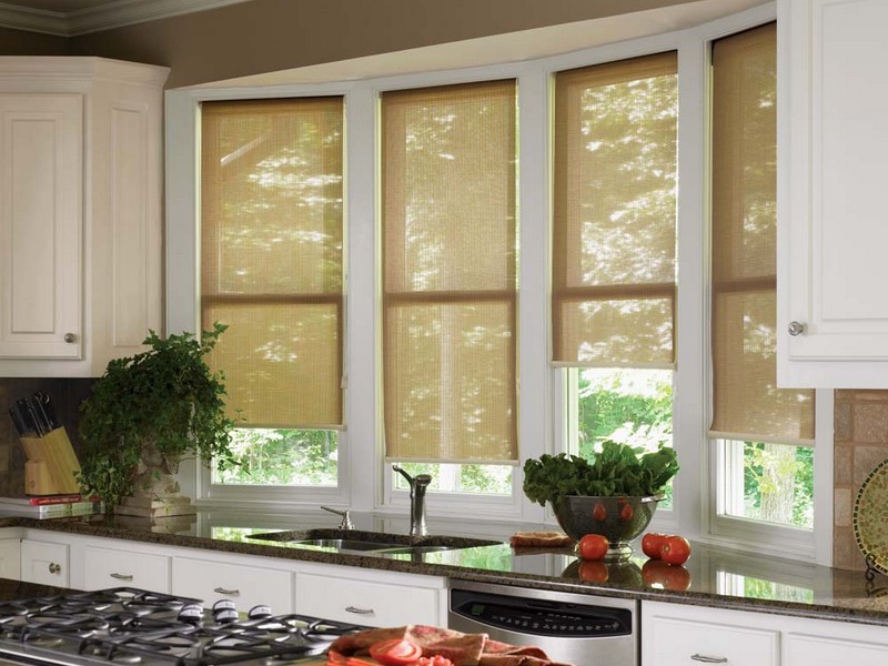 Custom Roller Shades