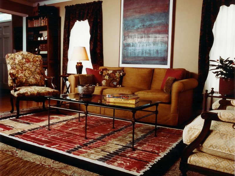 Cute Area Rugs For Living Room