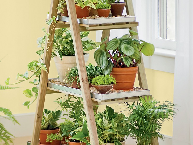 Decorative Plant Stands