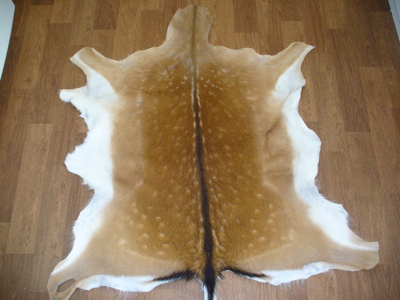 Deer Hide Rug