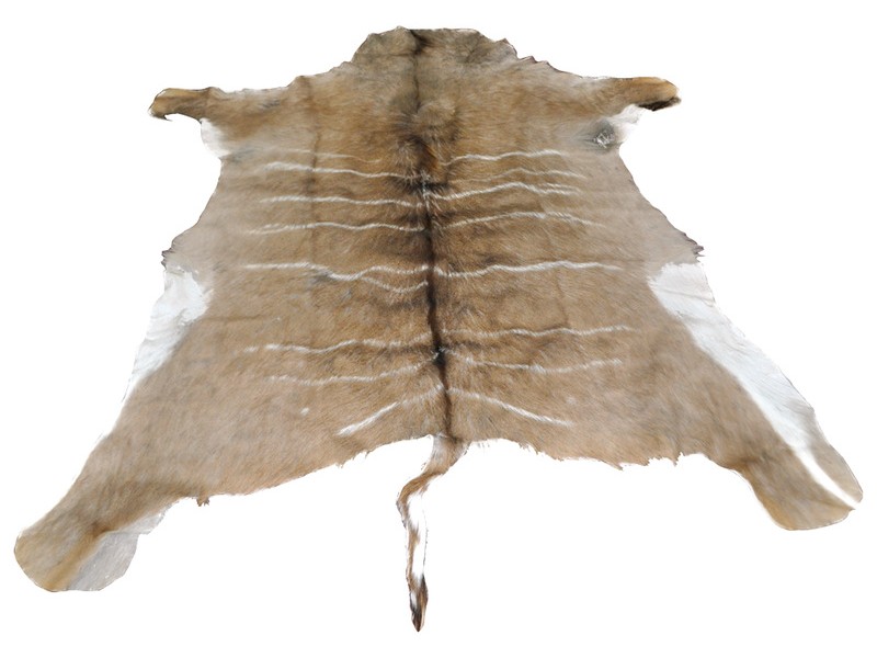 Deer Skin Rug Australia