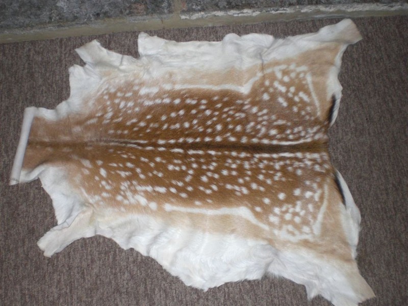 Deer Skin Rug Uk