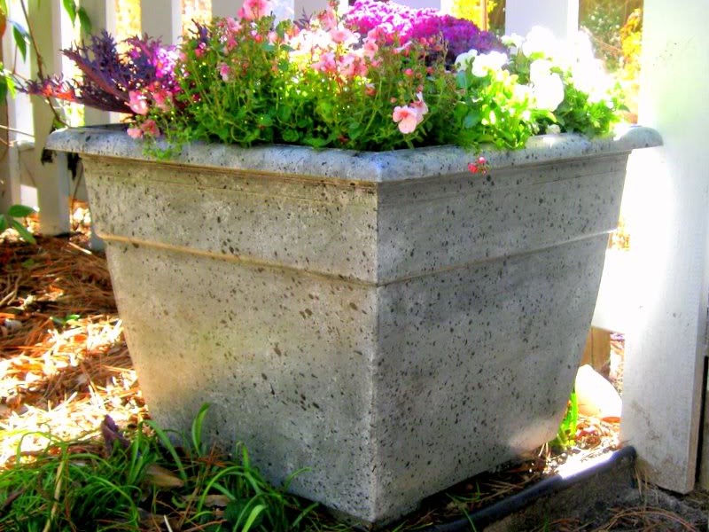Diy Cement Flower Pots