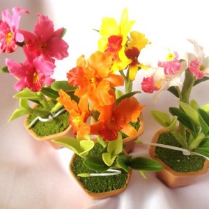 Dolls House Plant Pots