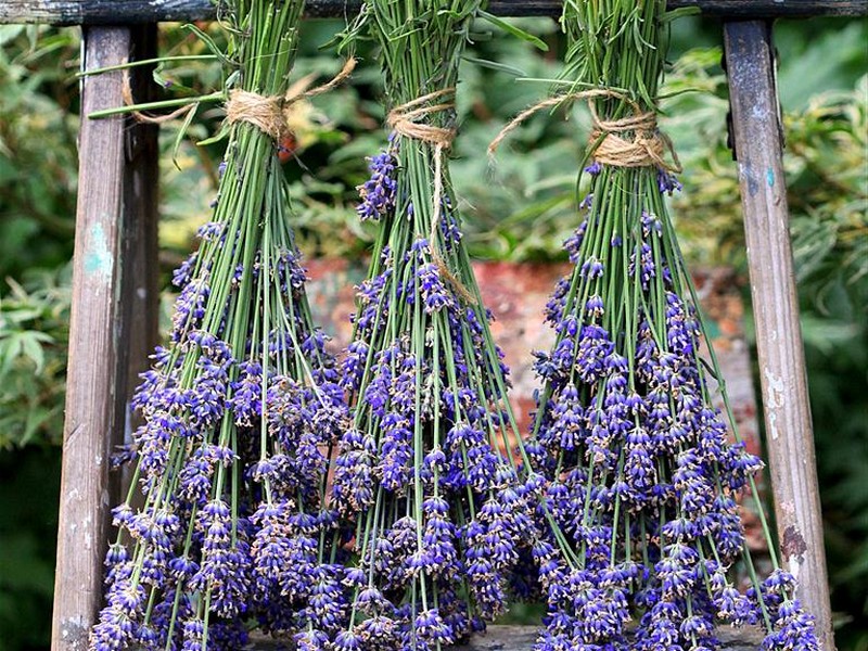 Dried Lavender Wreath Diy