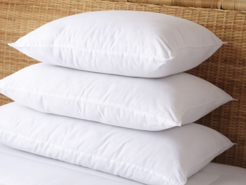 Egyptian Cotton Pillows