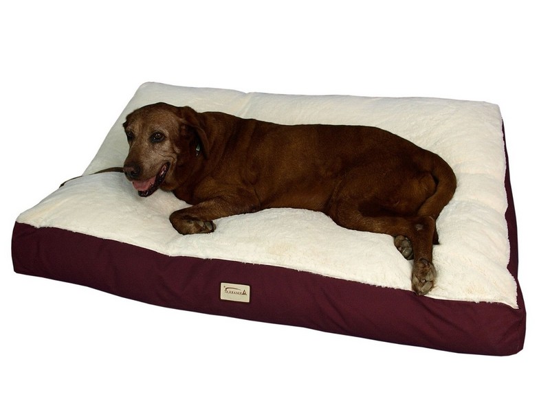 Extra Large Dog Beds Cheap