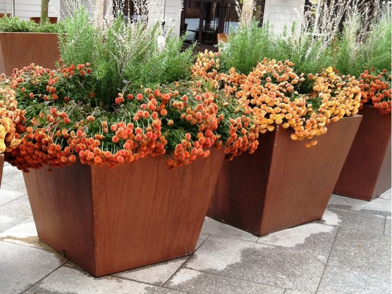 Extra Large Planters For Trees