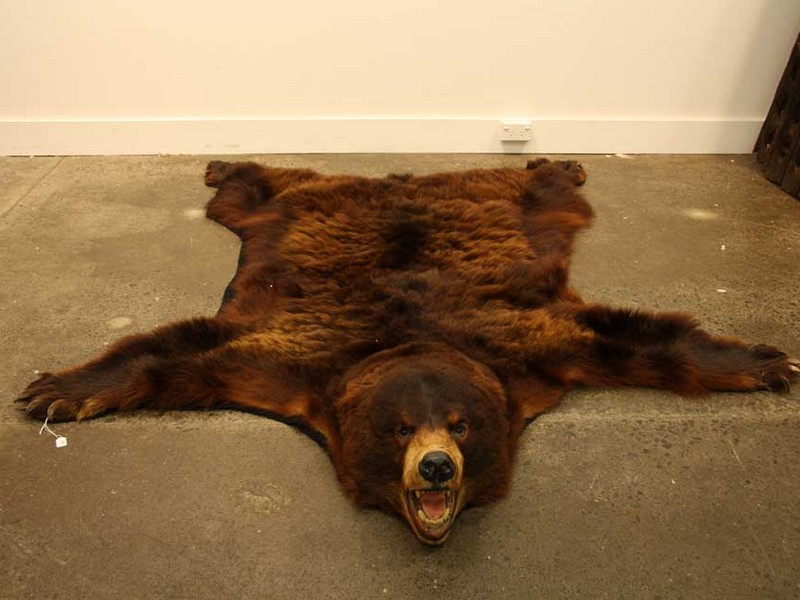 Faux Bear Skin Rug With Head. 