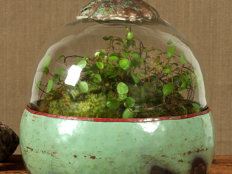 Glass Cloche With Base