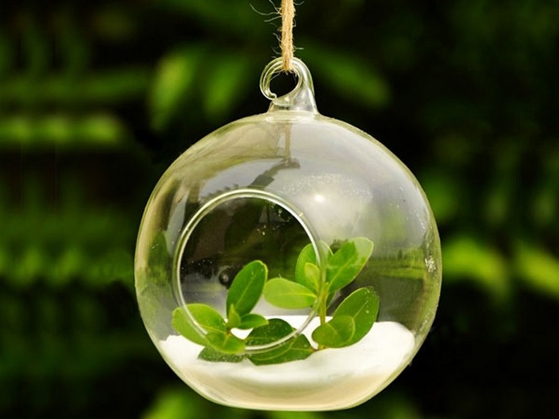 Hanging Glass Bubble Planters