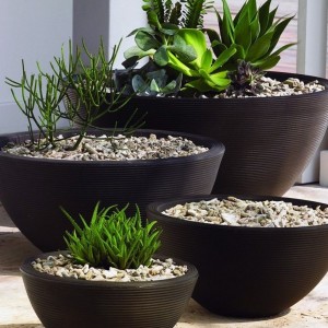 House Plant Pots