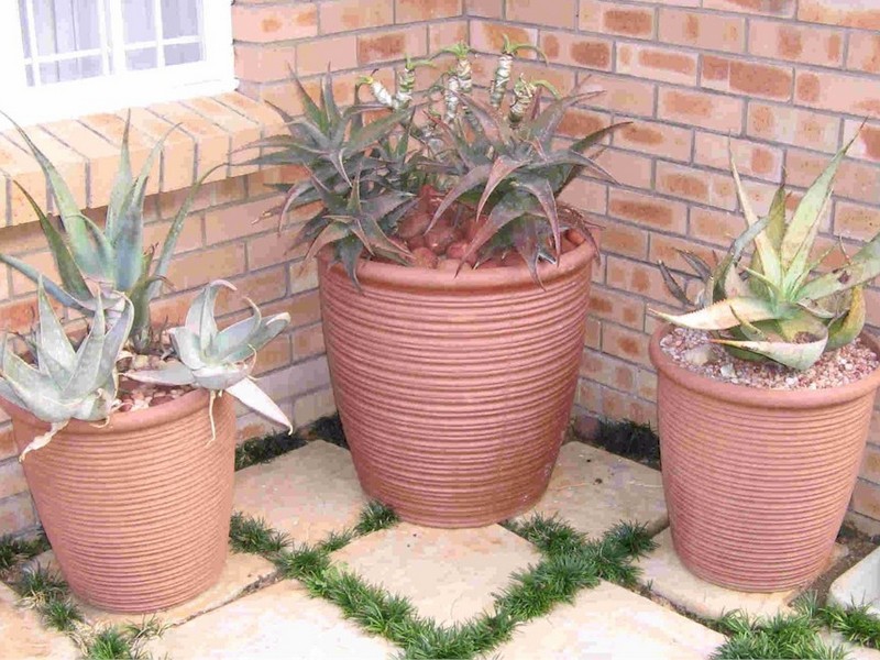 House Plant Pots Containers