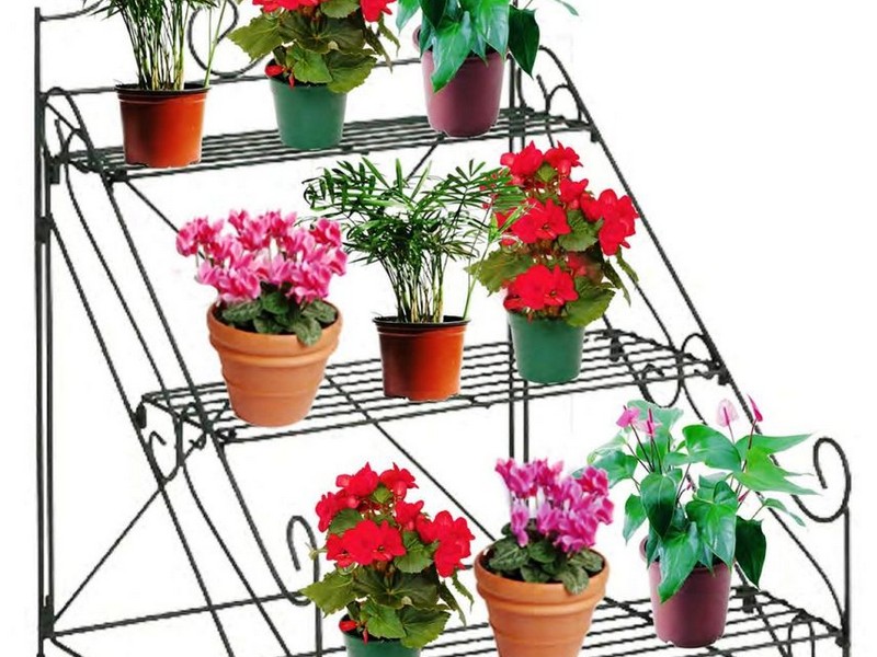 House Plant Pots Uk