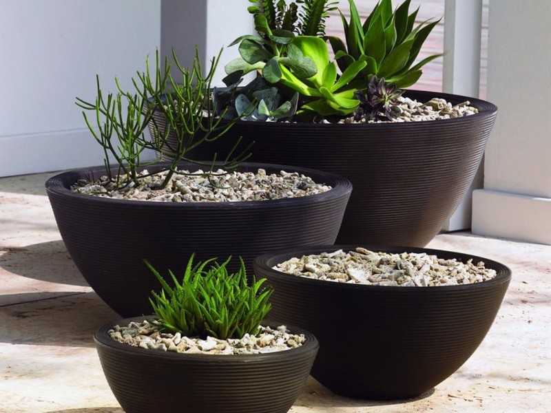 House Plant Pots