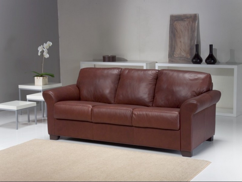 Italian Leather Couches