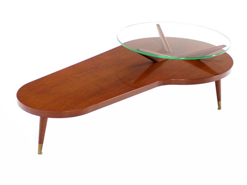 Kidney Shaped Glass Coffee Table