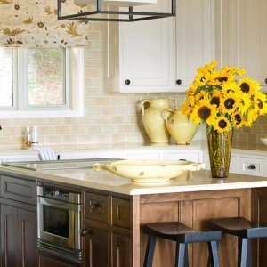 Kitchen Island Stools With Backs