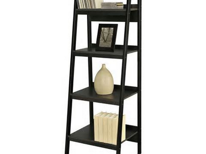 Ladder Book Shelf