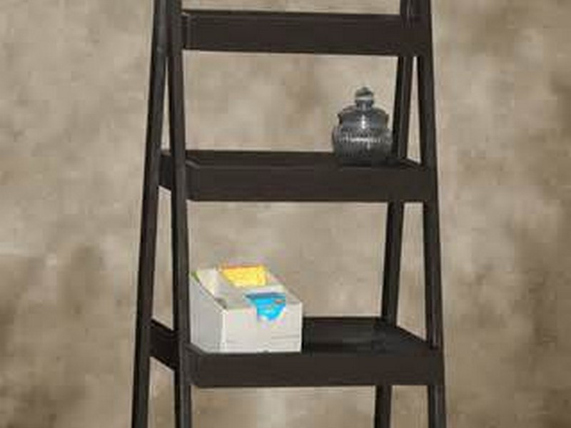 Ladder Wall Shelf