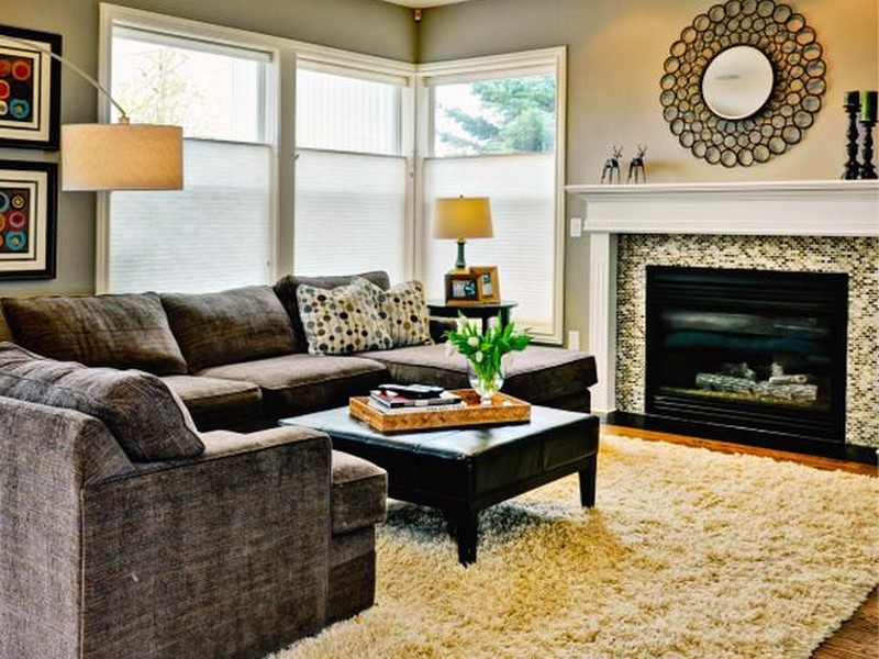 Large Area Rugs Living Room