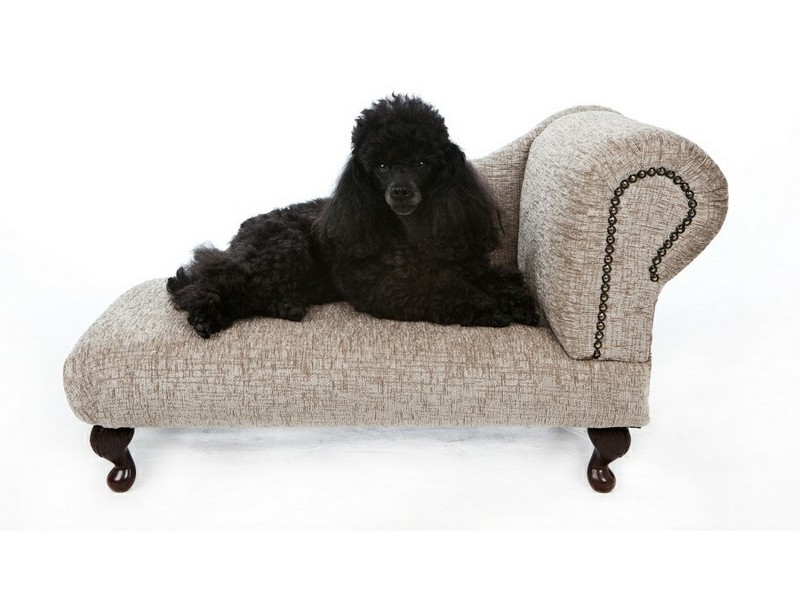 Large Dog Chaise Lounge