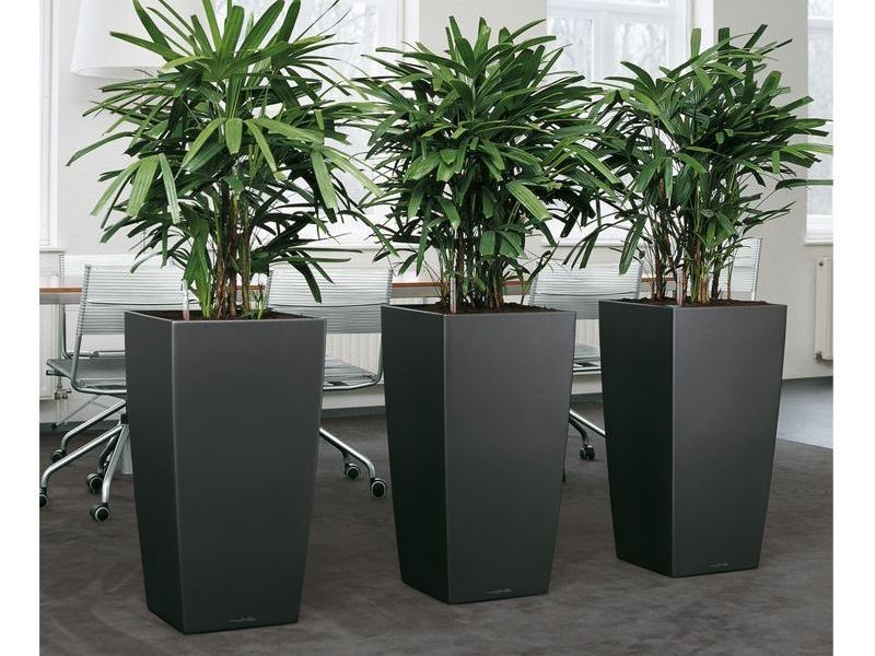 Large House Plant Pots