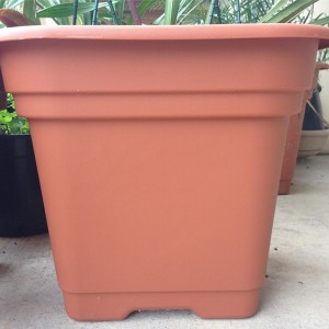 Large Plastic Plant Pots