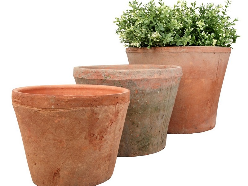 Large Terracotta Planters Uk